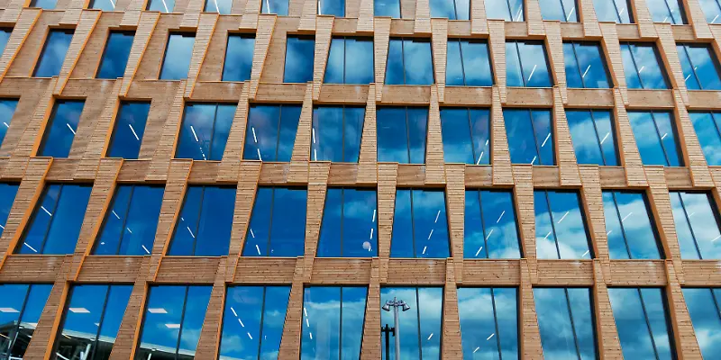 Holzbau, Holz