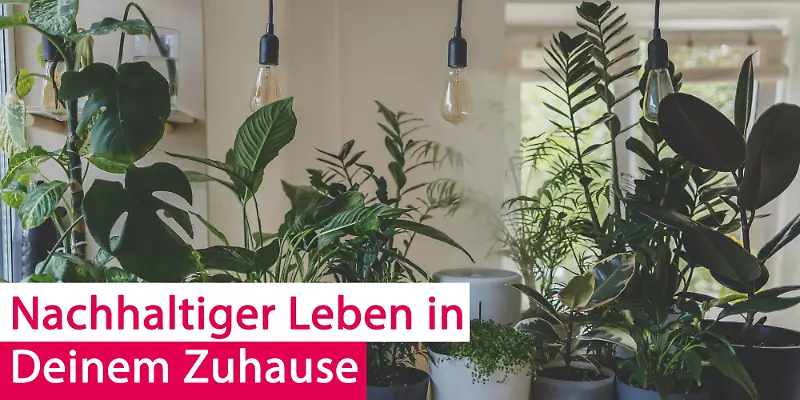 DeinNeuesZuHause.de, Nachhaltig, Grafik